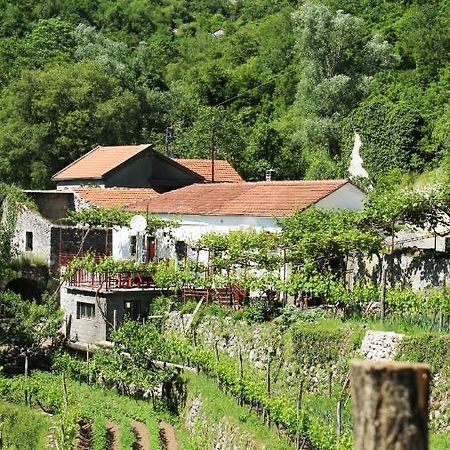 Country House Dajkovic Dupilo 外观 照片