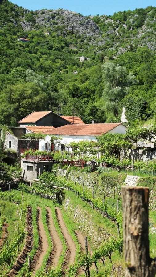 Country House Dajkovic Dupilo 外观 照片